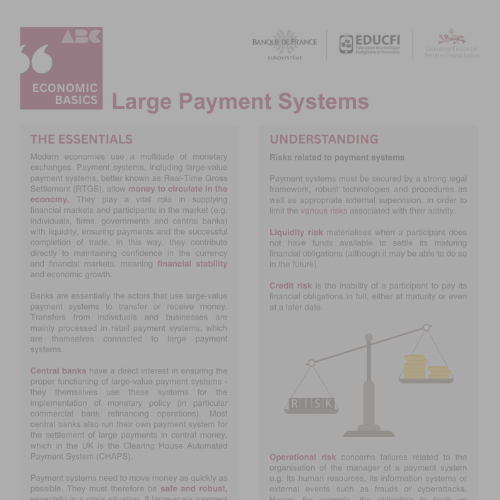 Large Payment System - click here to read more