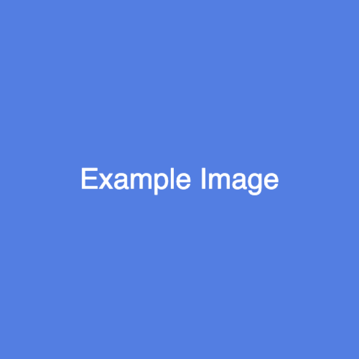 This is the "Alternative text" of the Team Member's Photo